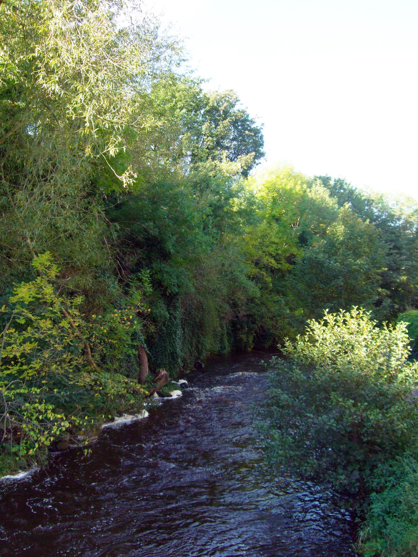 The Water of Leith – “a silver thread in a ribbon of green”.