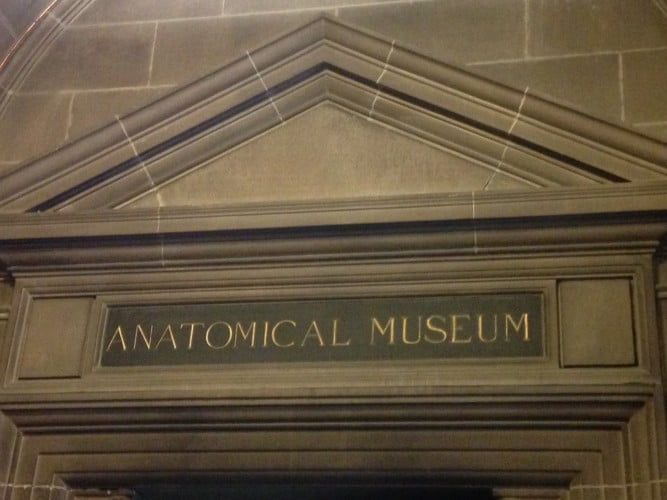 Anatomical Museum In Edinburgh