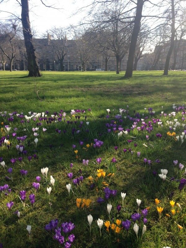 Park in Leith