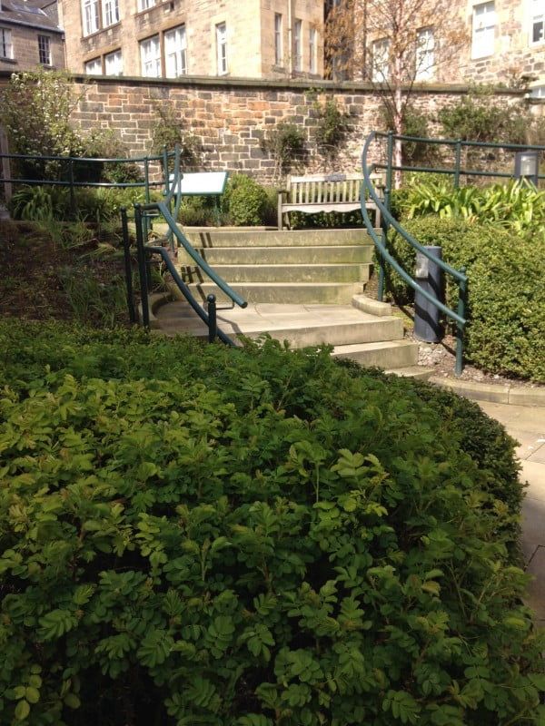 The Archivists Garden in Edinburgh